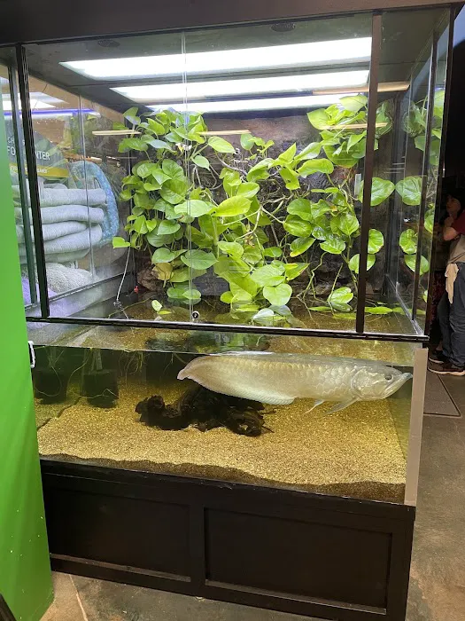 Olathe Pet Shop Picture 6