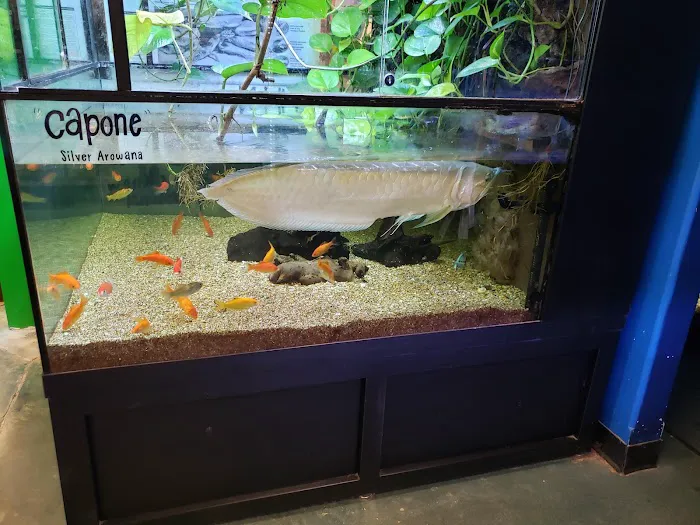Olathe Pet Shop Picture 8