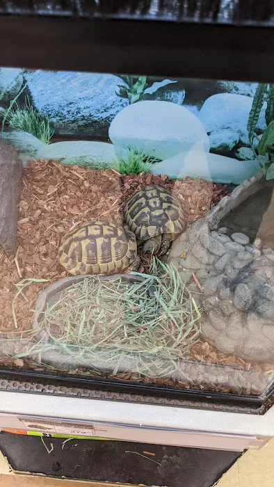 Petco Picture 4