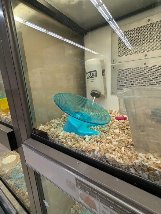 Petco Picture 1