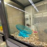 Petco