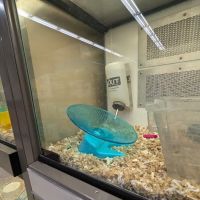 Petco ico