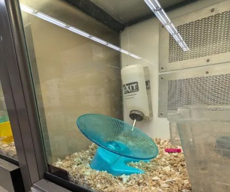 Petco
