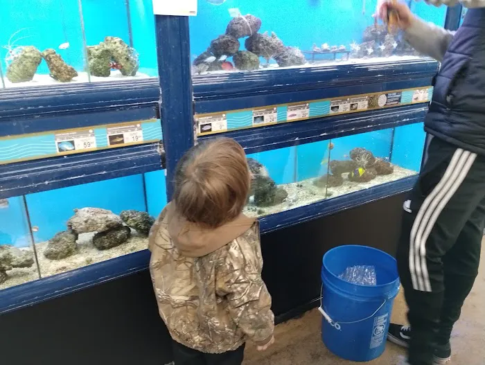 Petco Picture 6