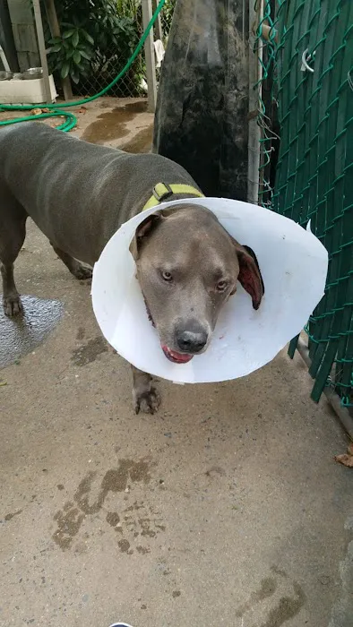 Parkview Animal Hospital Picture 3