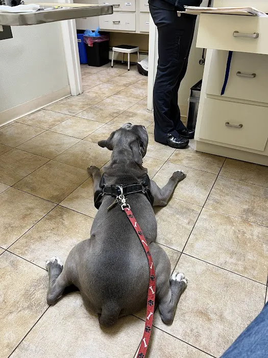 Parkview Animal Hospital Picture 6