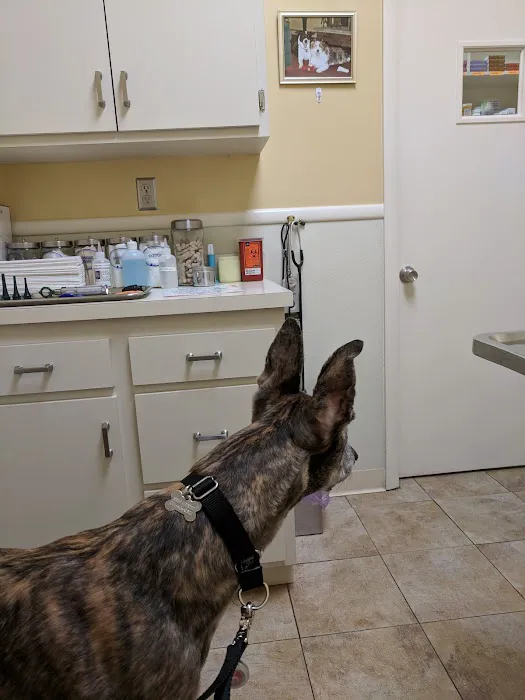 Parkview Animal Hospital Picture 8
