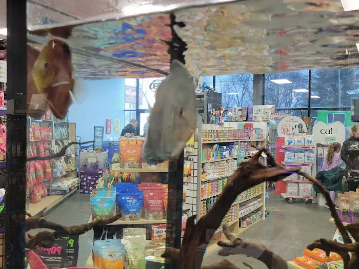 Pet-Topia Picture 1