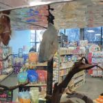 Pet-Topia