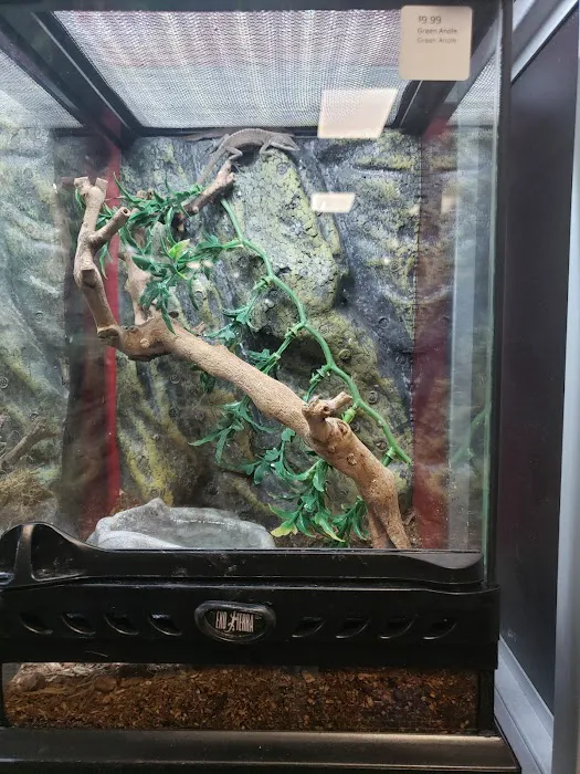 Pet-Topia Picture 6