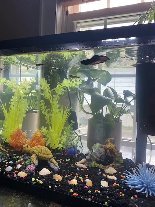 Pet-Topia Picture 7