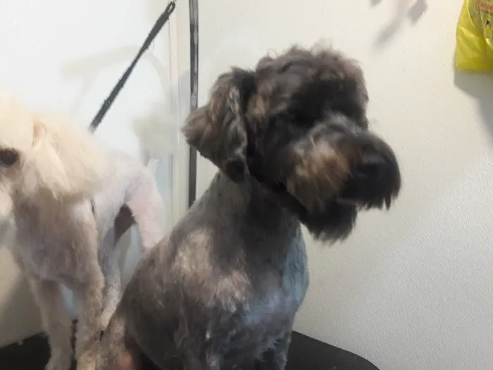 Passaic Pet Clinic Picture 5