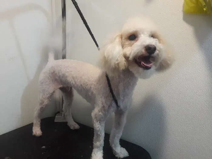 Passaic Pet Clinic Picture 7