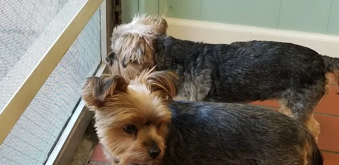 Passaic Pet Clinic Picture 8