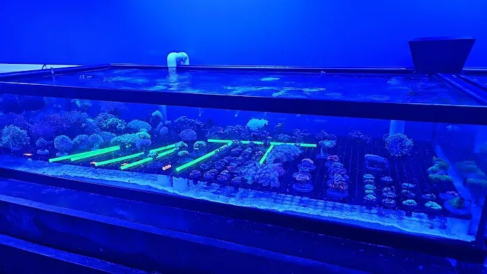Northland Aquaculture Picture 4