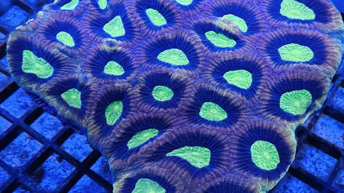 Northland Aquaculture Picture 5