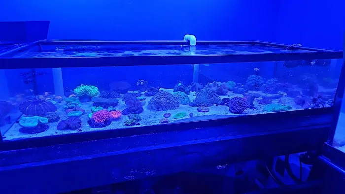 Northland Aquaculture Picture 6