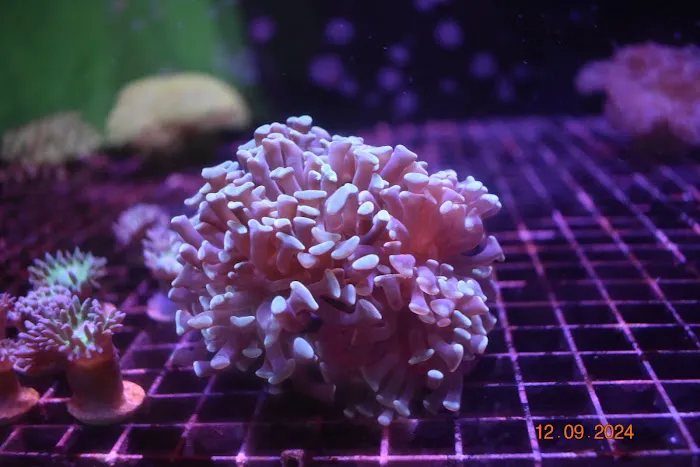 Northland Aquaculture Picture 8