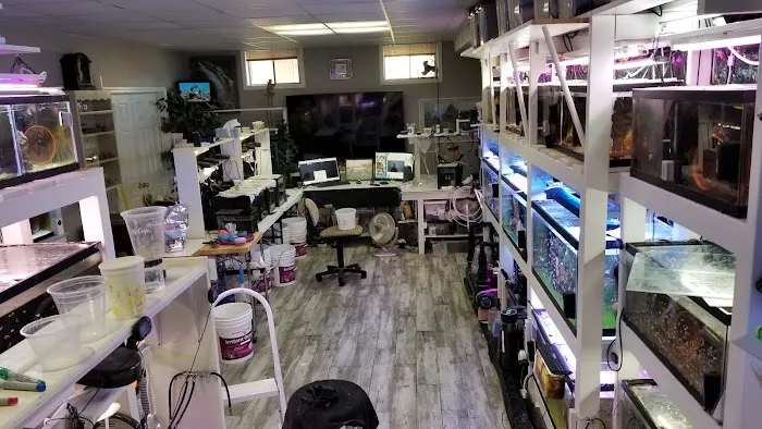 The Clownfish Shop (please call for appointment) Picture 5