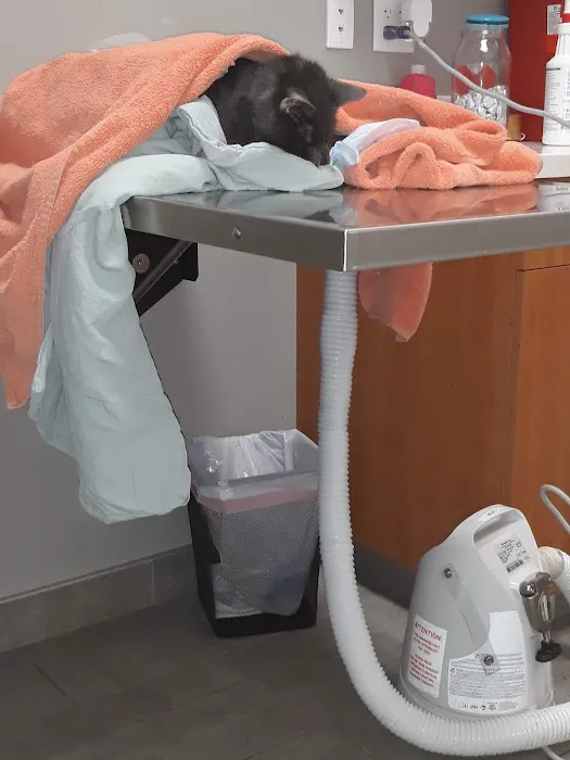 Sova Animal Hospital-Paterson Picture 1