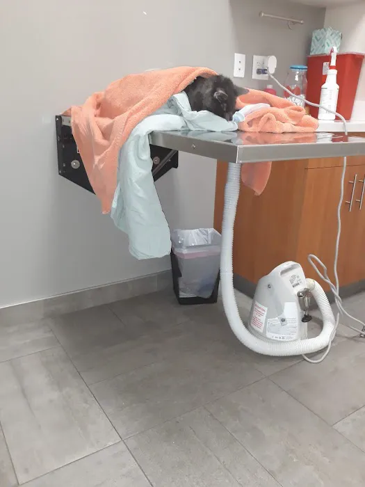 Sova Animal Hospital-Paterson Picture 6
