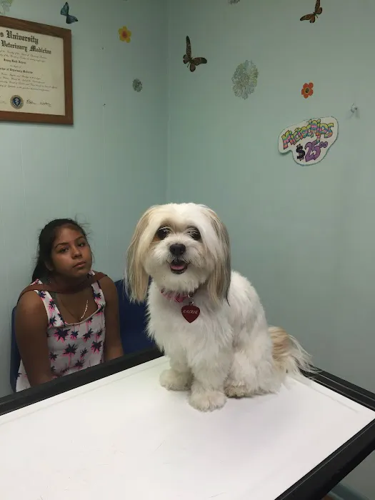 Animal Hospital Of Rutherford Picture 5