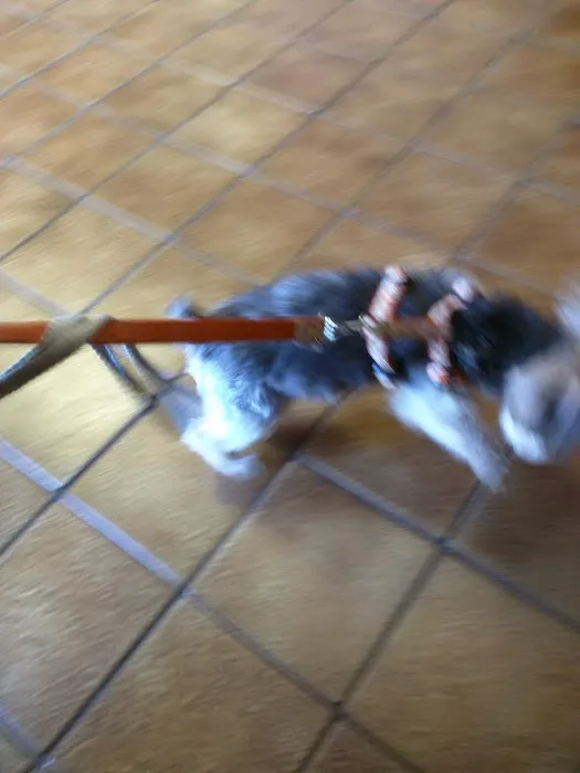 Animal Hospital Of Rutherford Picture 7