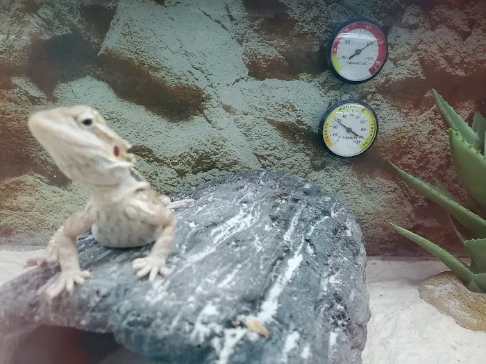 Petco Picture 8