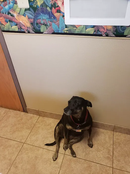 VCA Rutherford Animal Hospital Picture 2