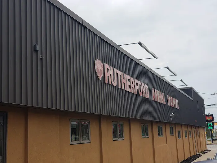 VCA Rutherford Animal Hospital Picture 3