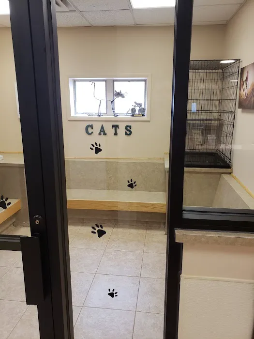 VCA Rutherford Animal Hospital Picture 4