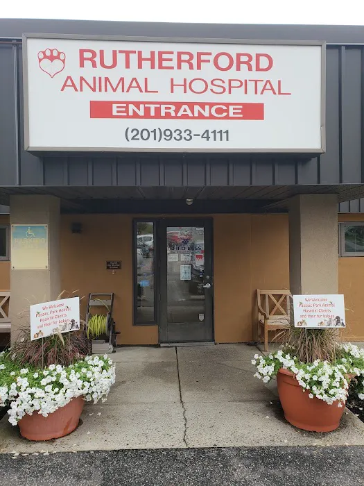 VCA Rutherford Animal Hospital Picture 5