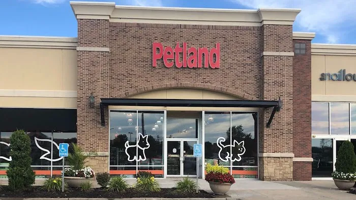 Petland North Kansas City Picture 5