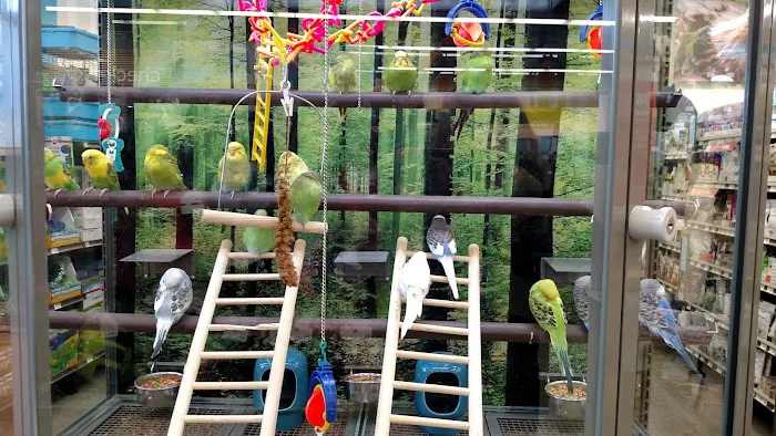 Petco Picture 4