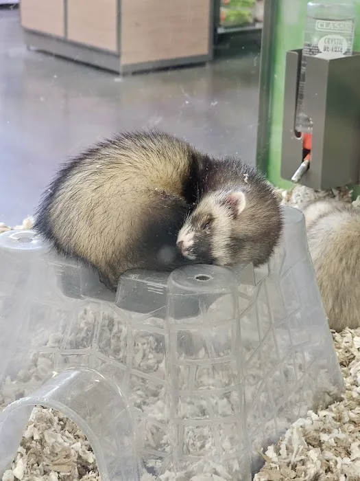 Petco Picture 9