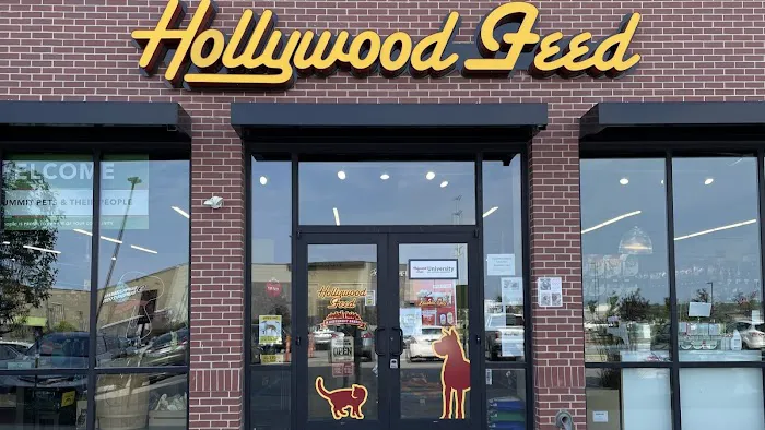 Hollywood Feed Picture 6