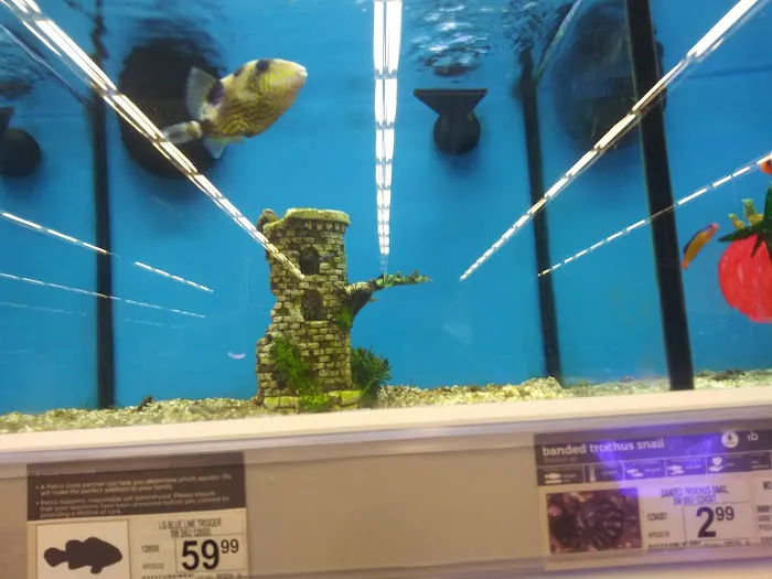 Petco Picture 6