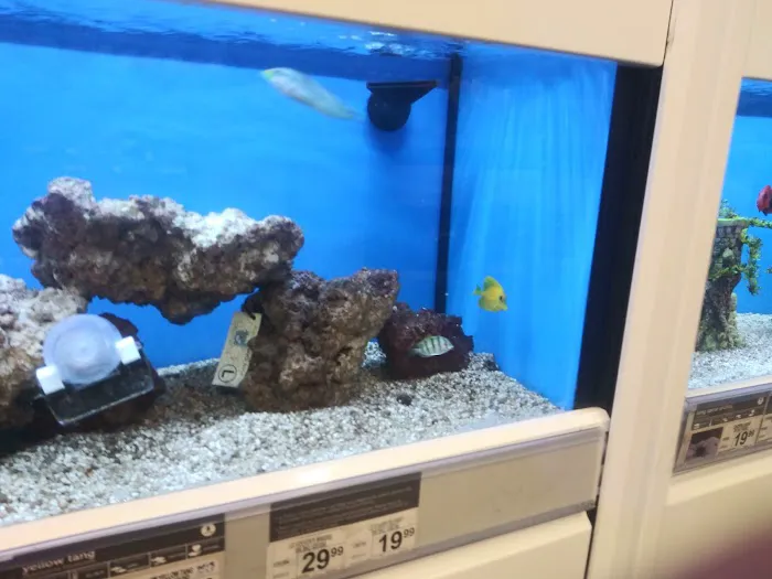 Petco Picture 8