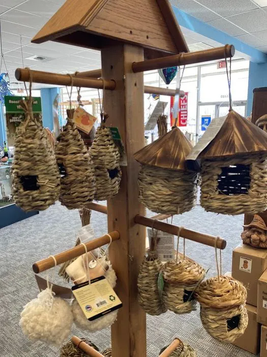 Wild Bird House Picture 8