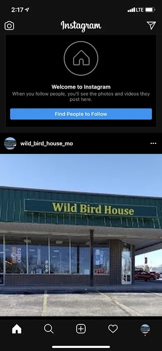 Wild Bird House Picture 2