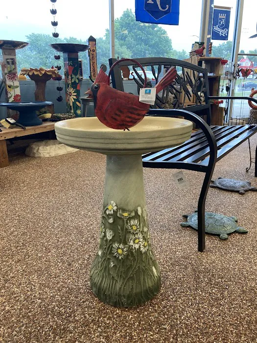 Wild Bird House Picture 1