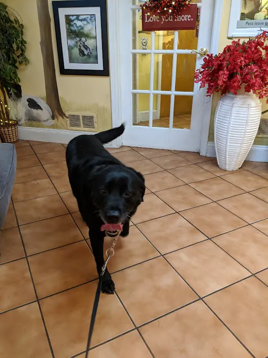 Glen Rock Veterinary Hospital Picture 10