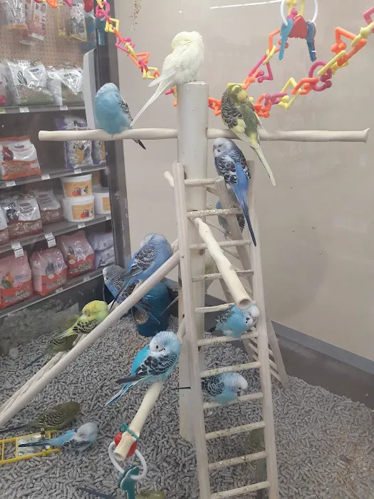 Petco Picture 2