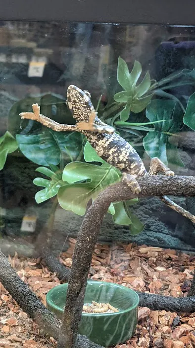 Petco Picture 6