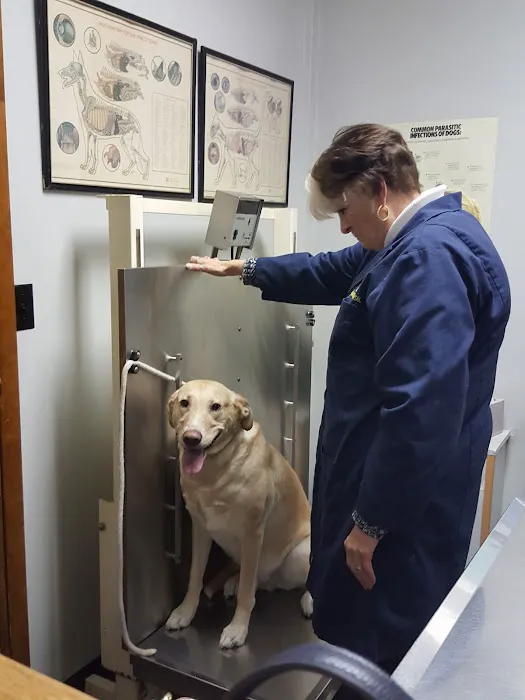 Clifton Dog & Cat Hospital Picture 8