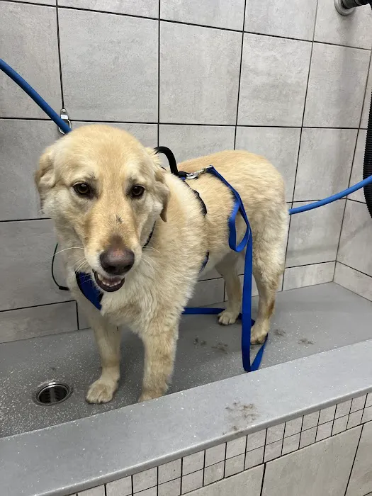 Pet Supplies Plus Kansas City (Lee's Summit) Picture 2