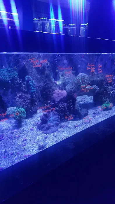 Live Art Aquatics Picture 2