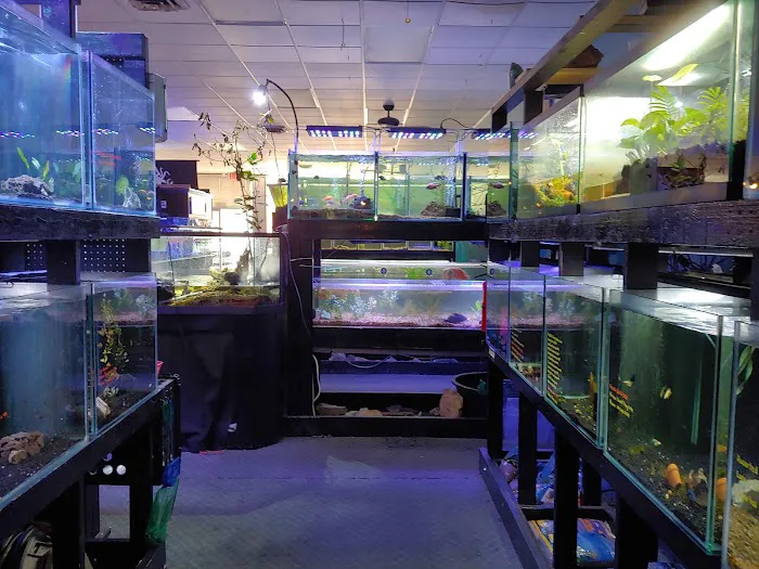 Live Art Aquatics Picture 8