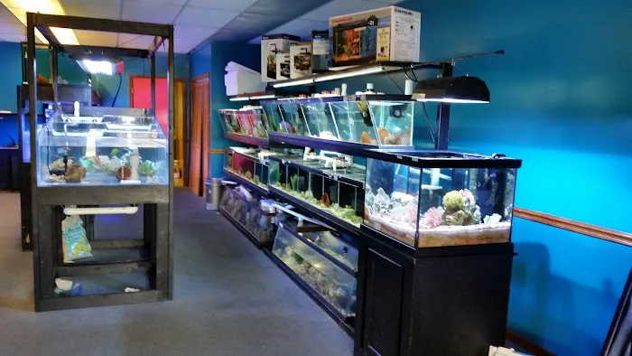 Live Art Aquatics Picture 9
