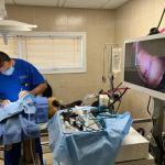 Lincoln Avenue Cat & Dog Hospital